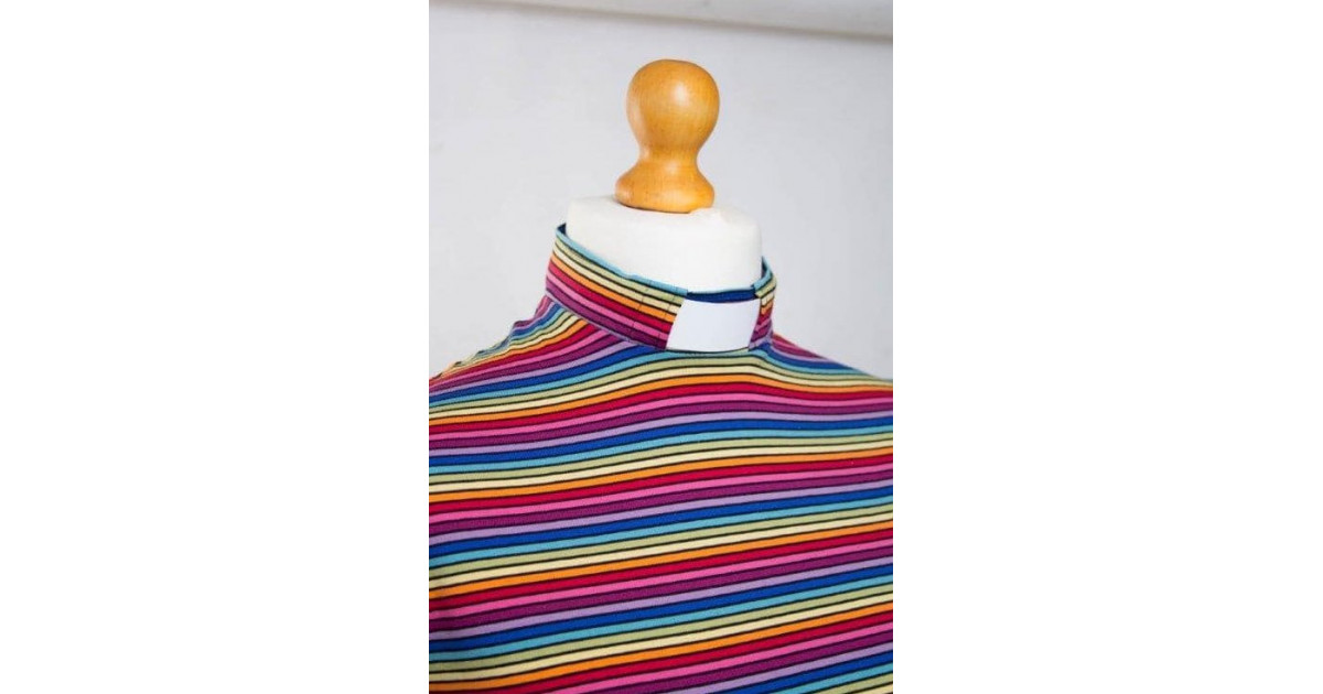 MAISIE FITTED RAINBOW TOP